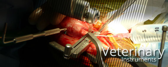 Veterinary Instruments